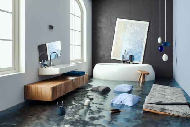  Archer Lodge, NC Water damage restoration Pros